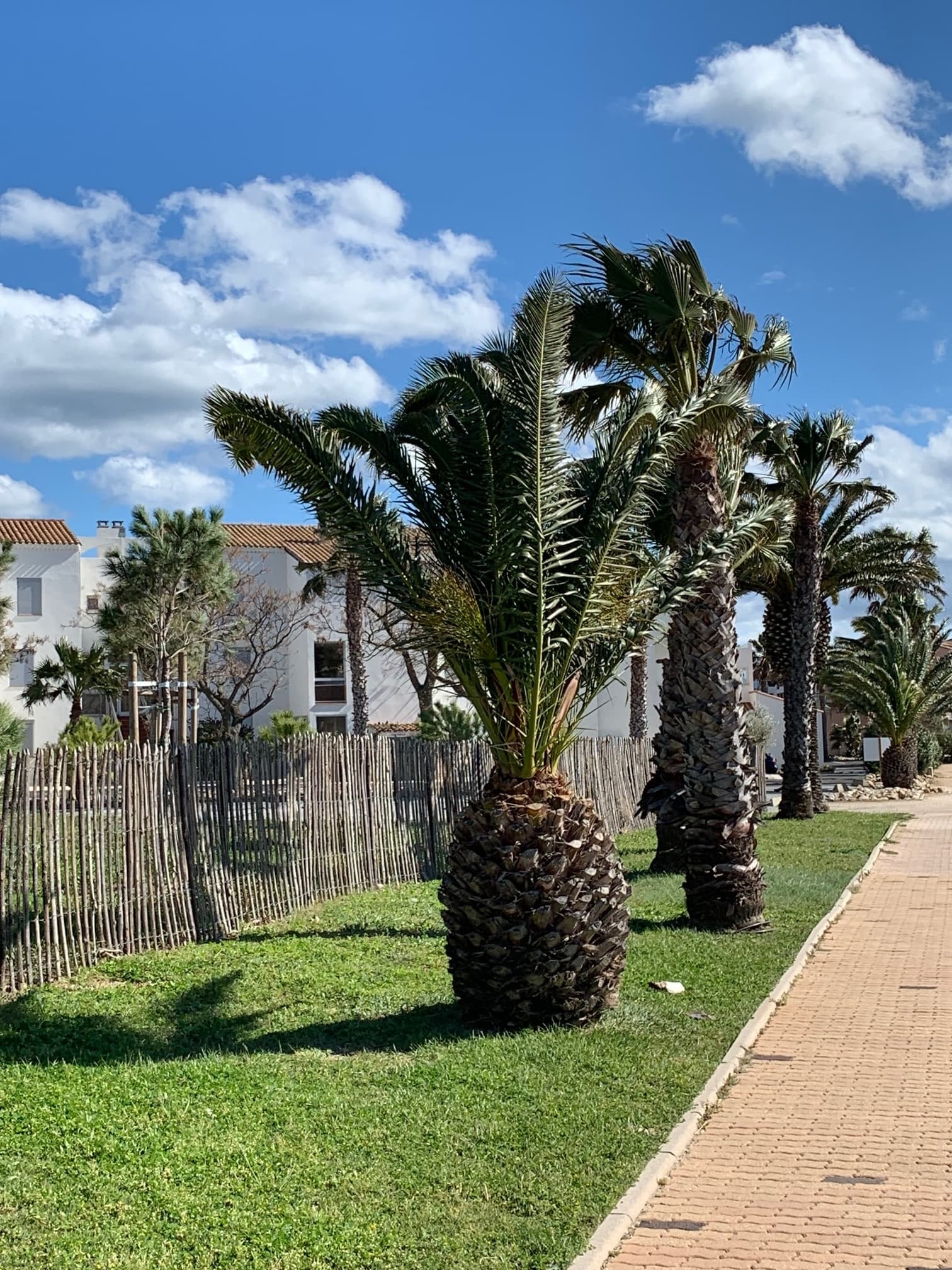 quai lagune