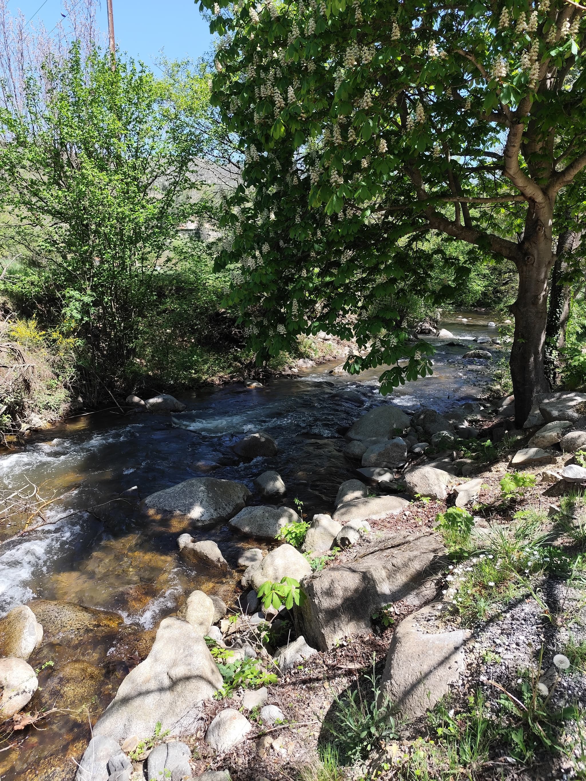 Nature environnante