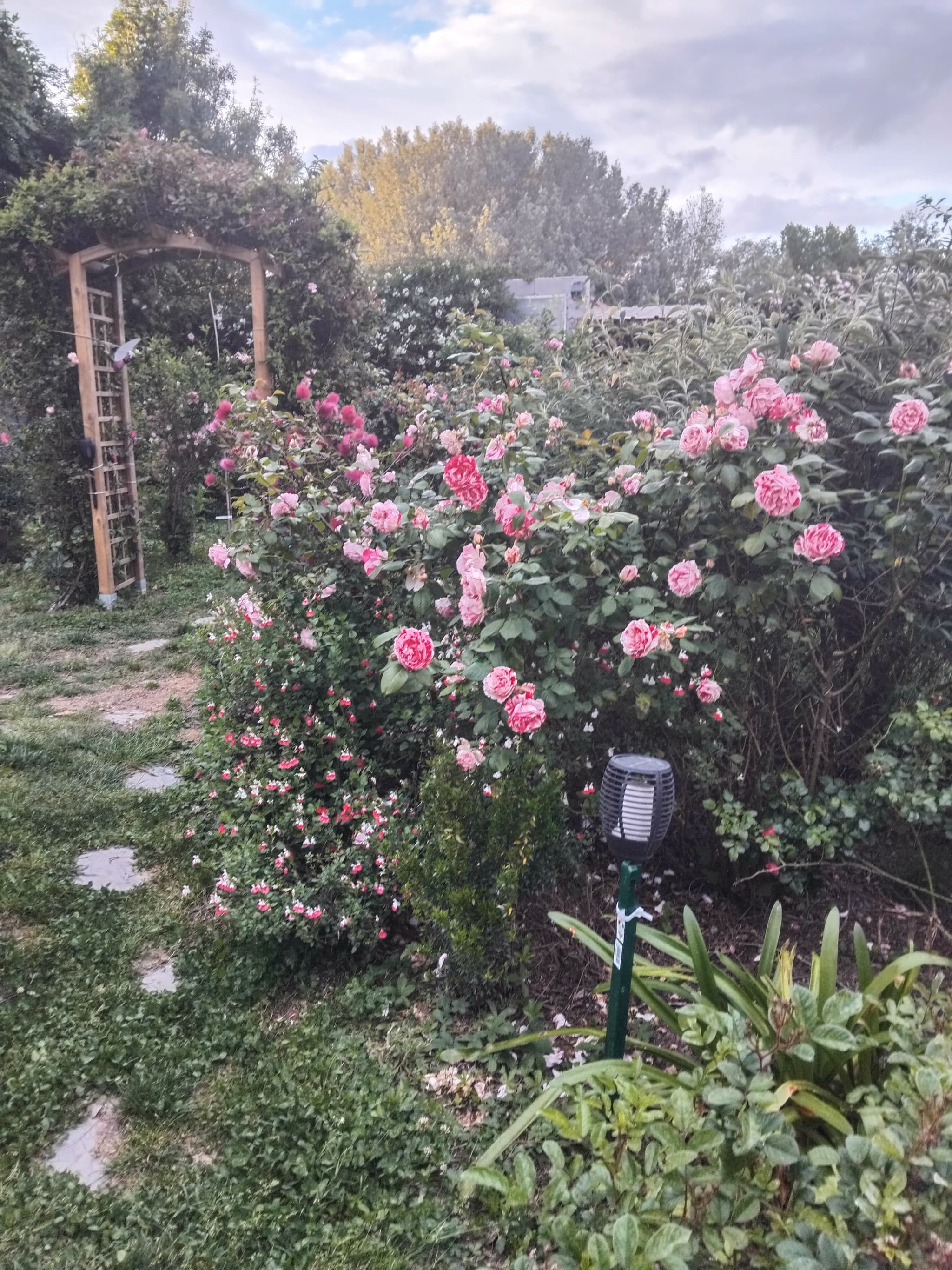 Aspres Thuir La Maison des Roses