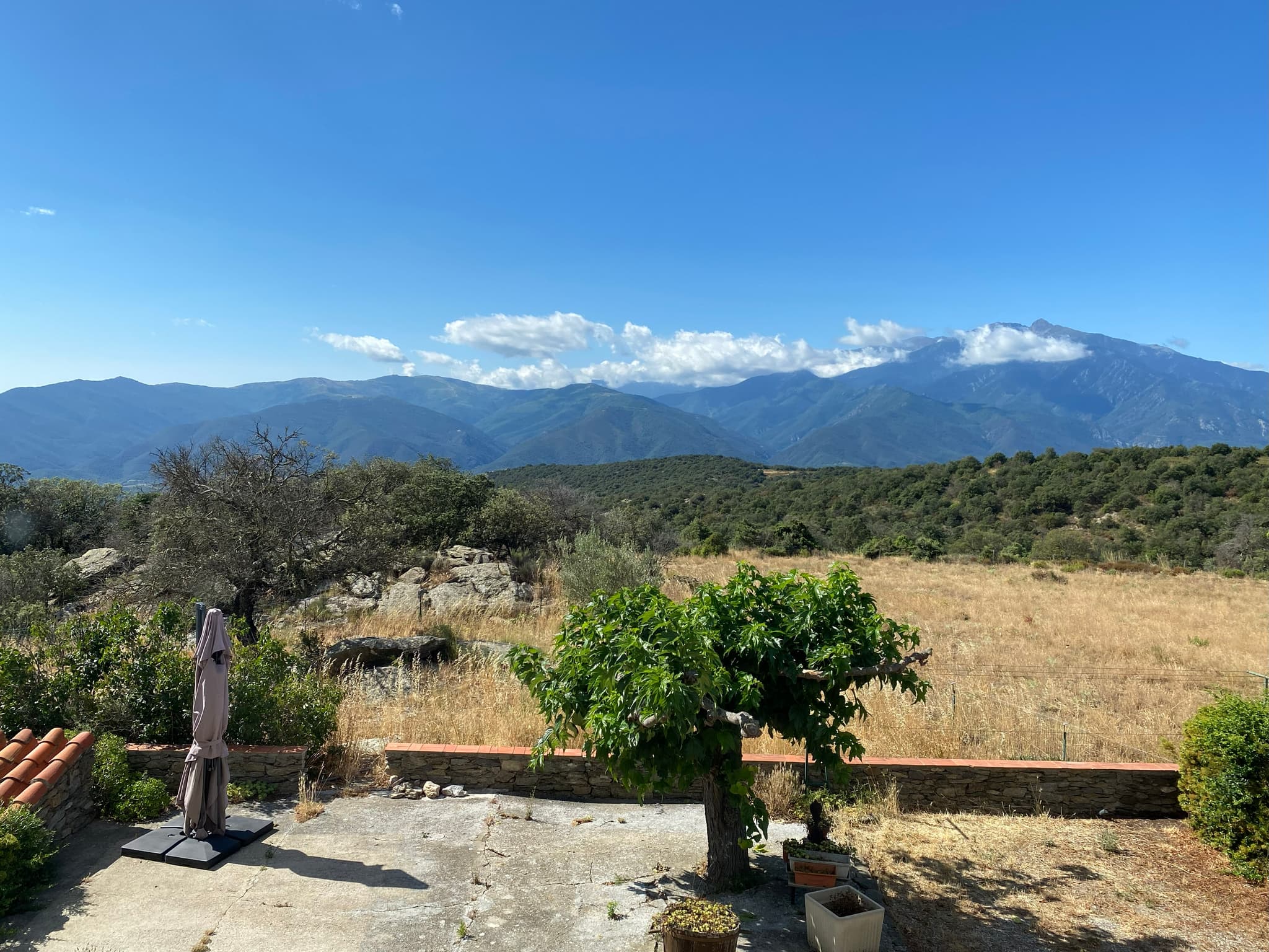 Terrasse avec le Canigó en fond