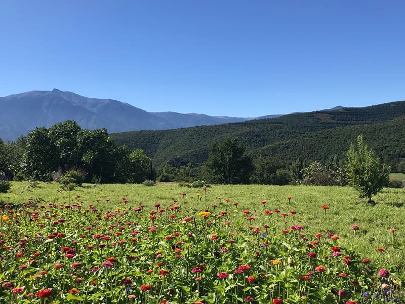 Vue sur le Canigó