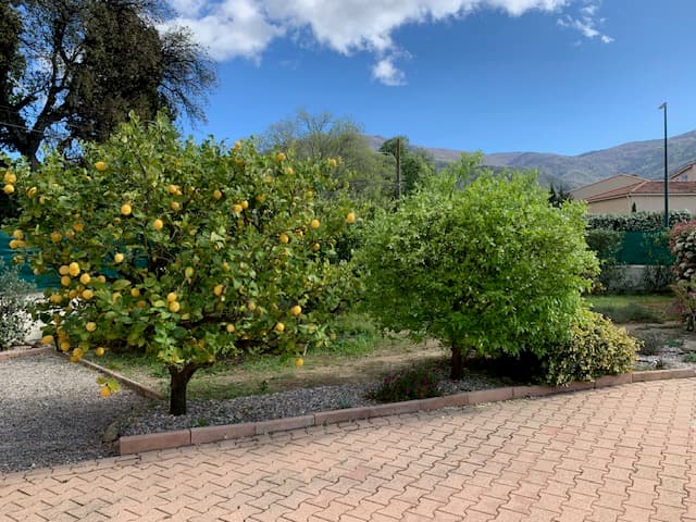 La Rocanya Jardin