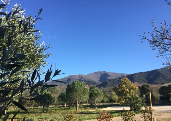 Gîte Montagne