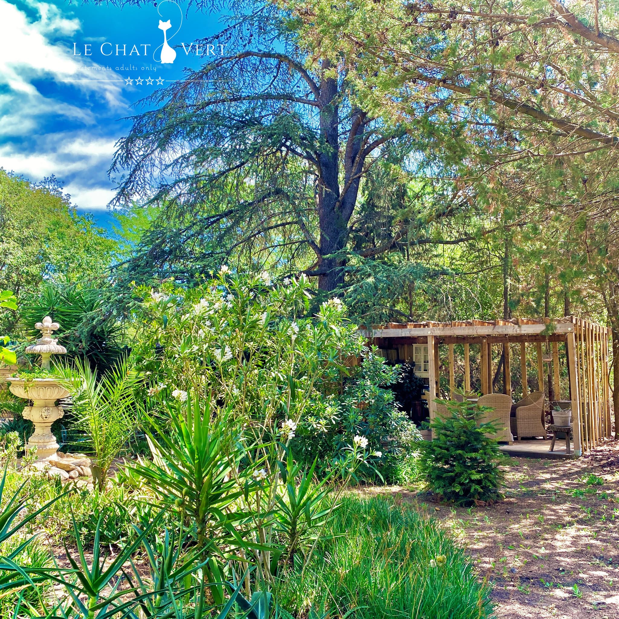 Le Chat Vert - Gîte de Charme****, grand jardin méditerranéen