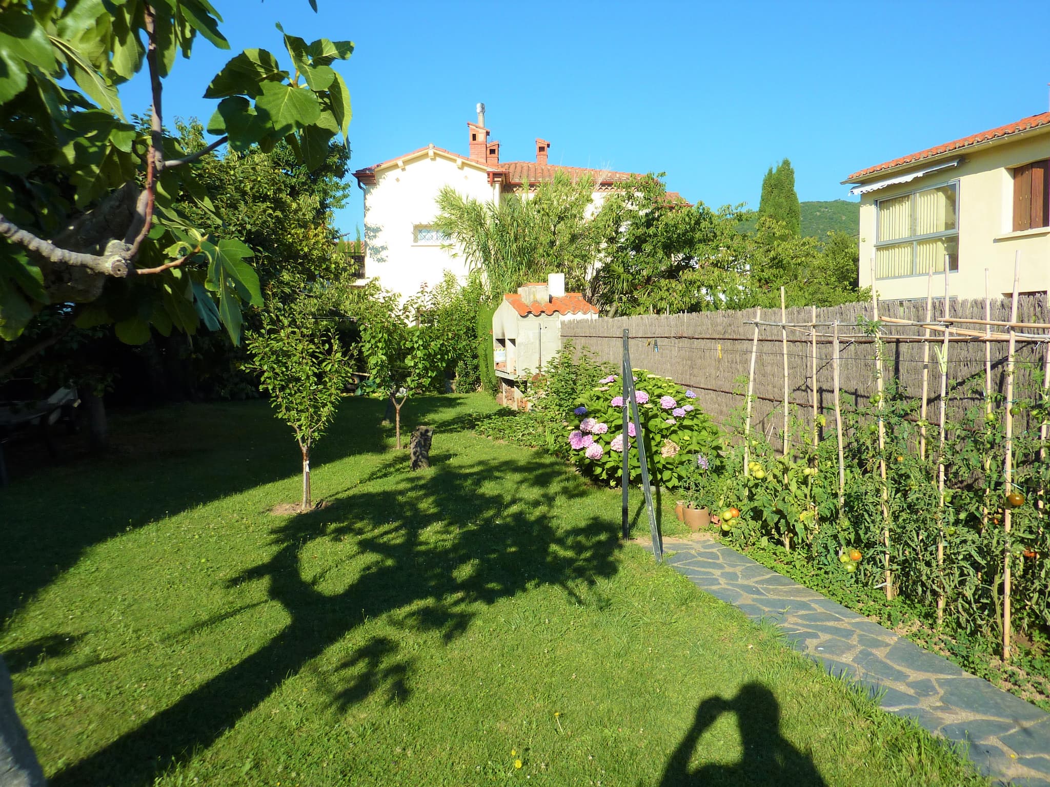 Jardin