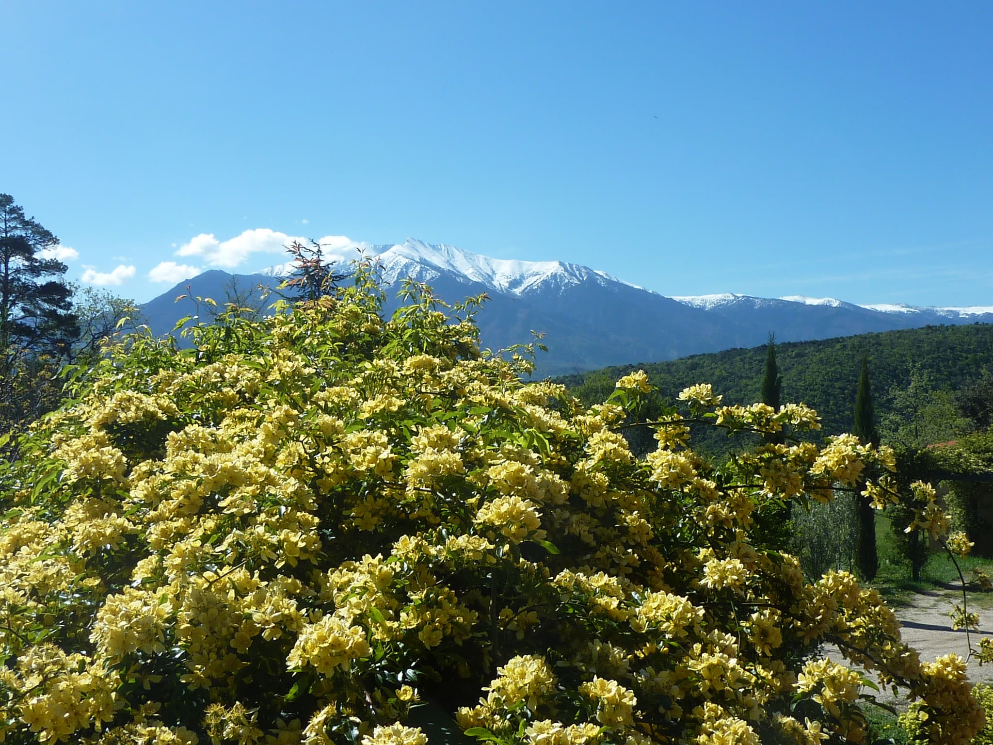 Vue sur le Canigó