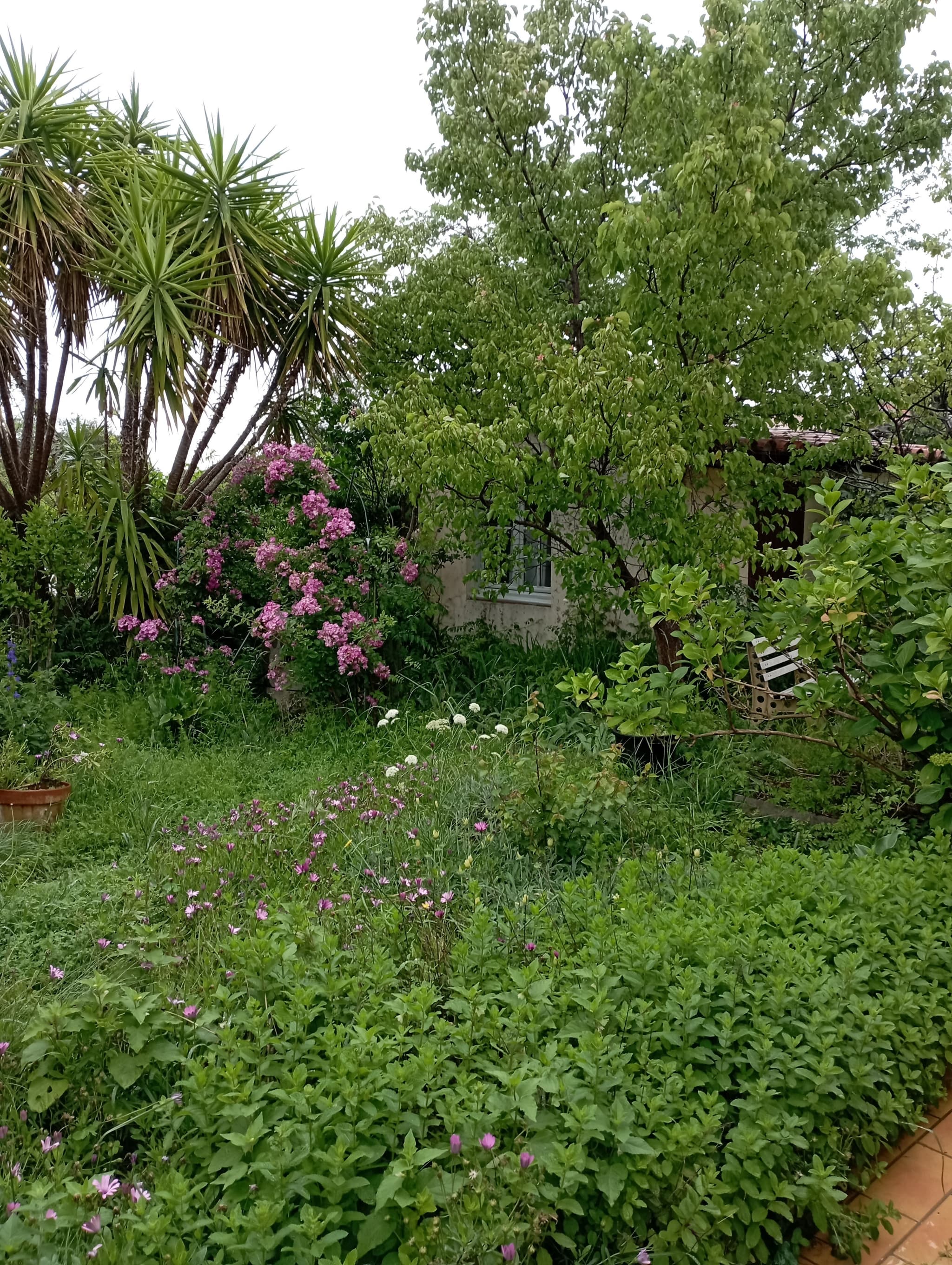 Photo jardin