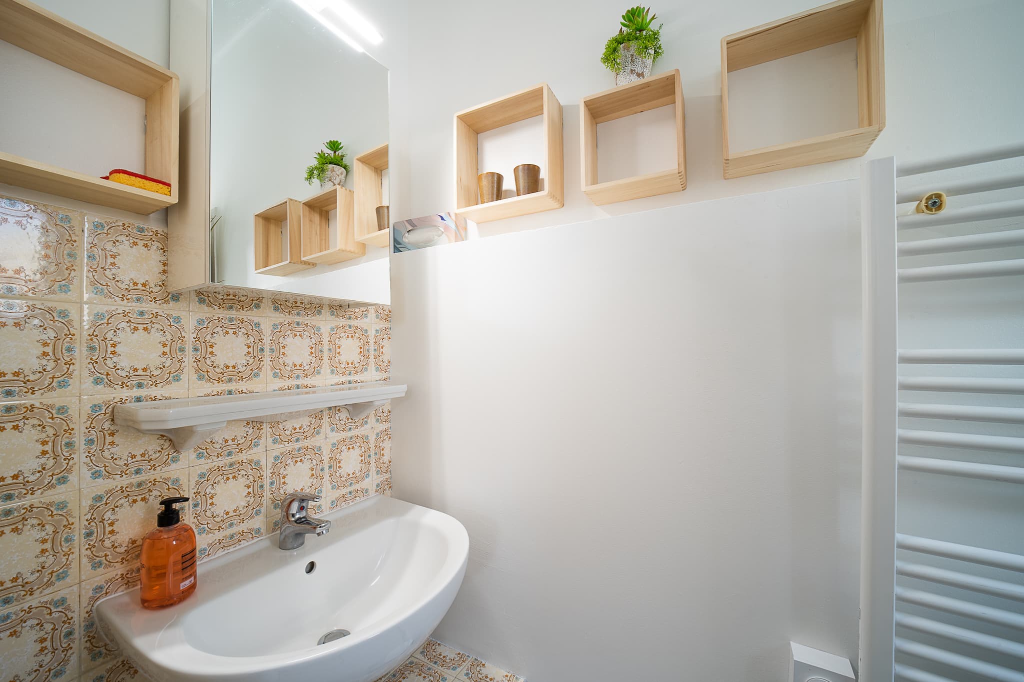salle d'eau / douche 1