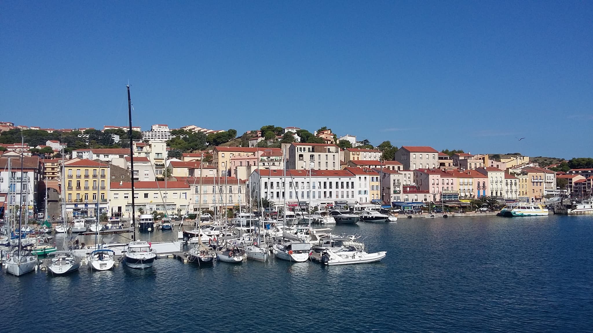 Vue sur le Port .