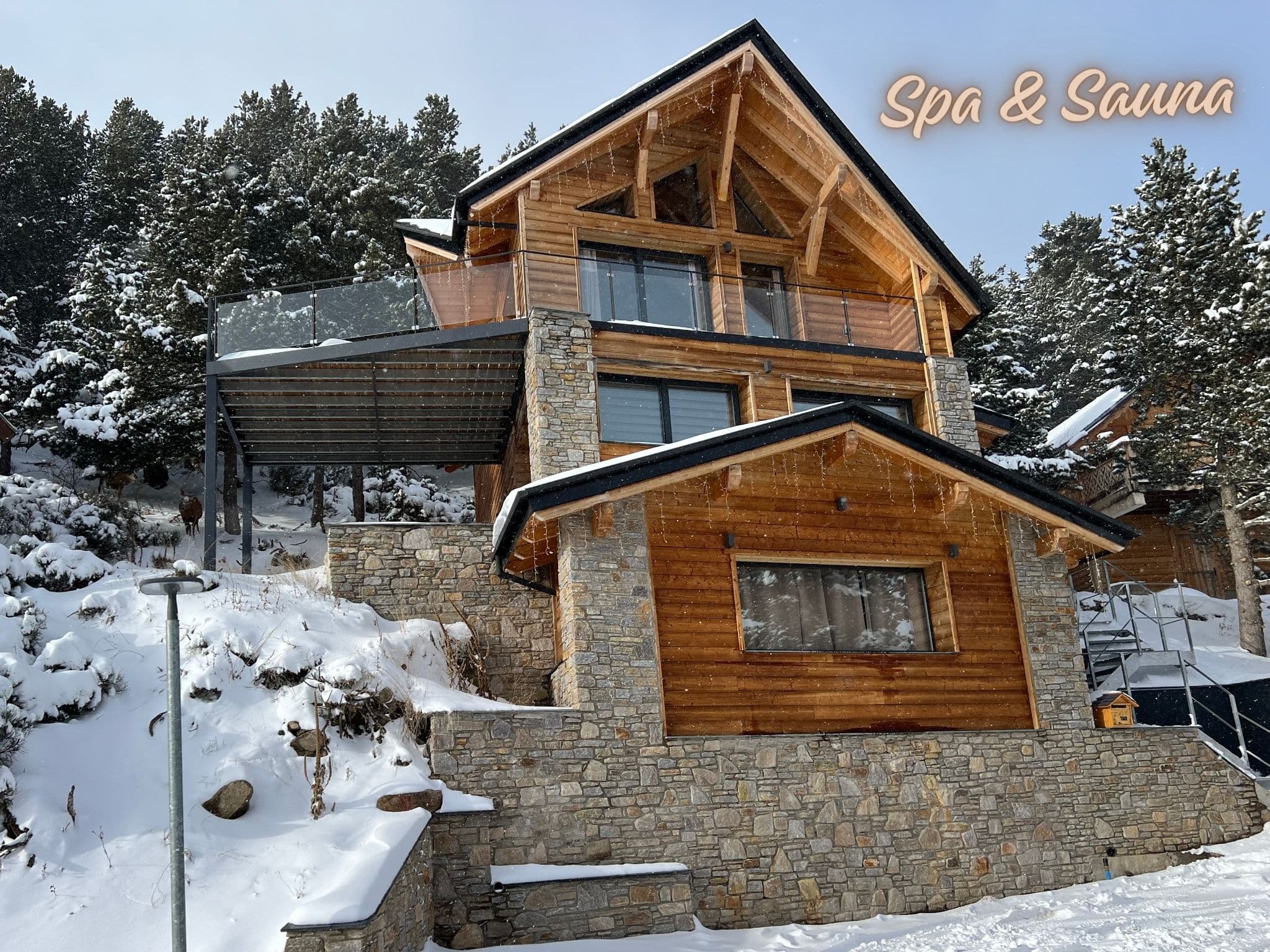 Spa & Sauna - 1
