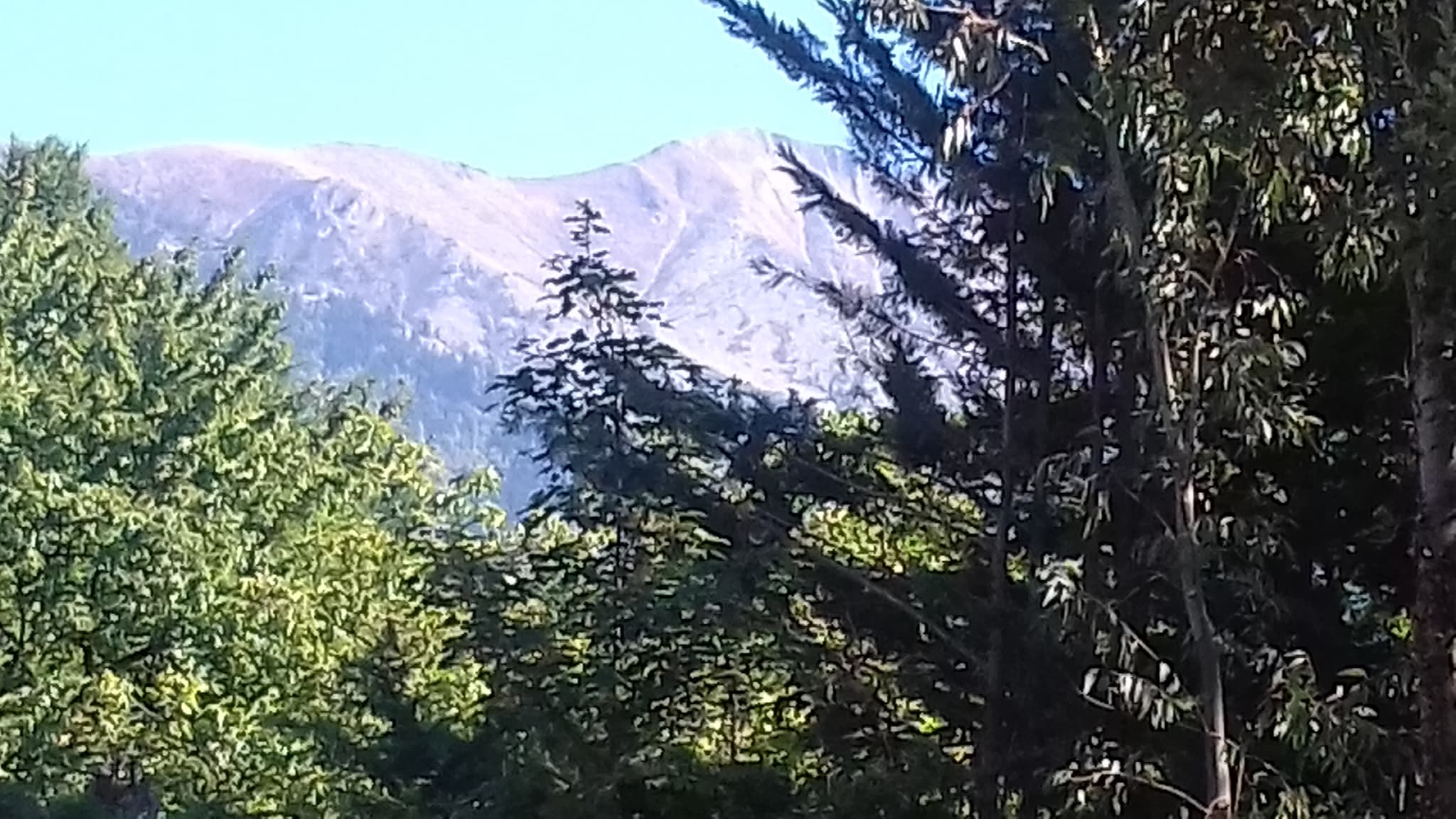 Vue sur le Canigó