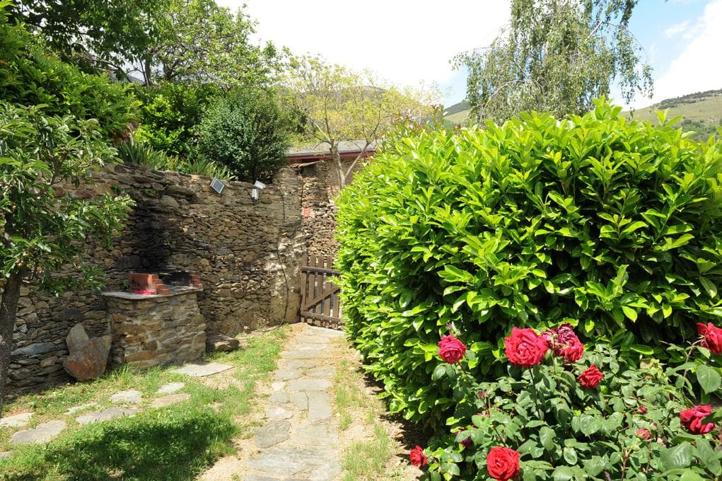 Photo_3_3