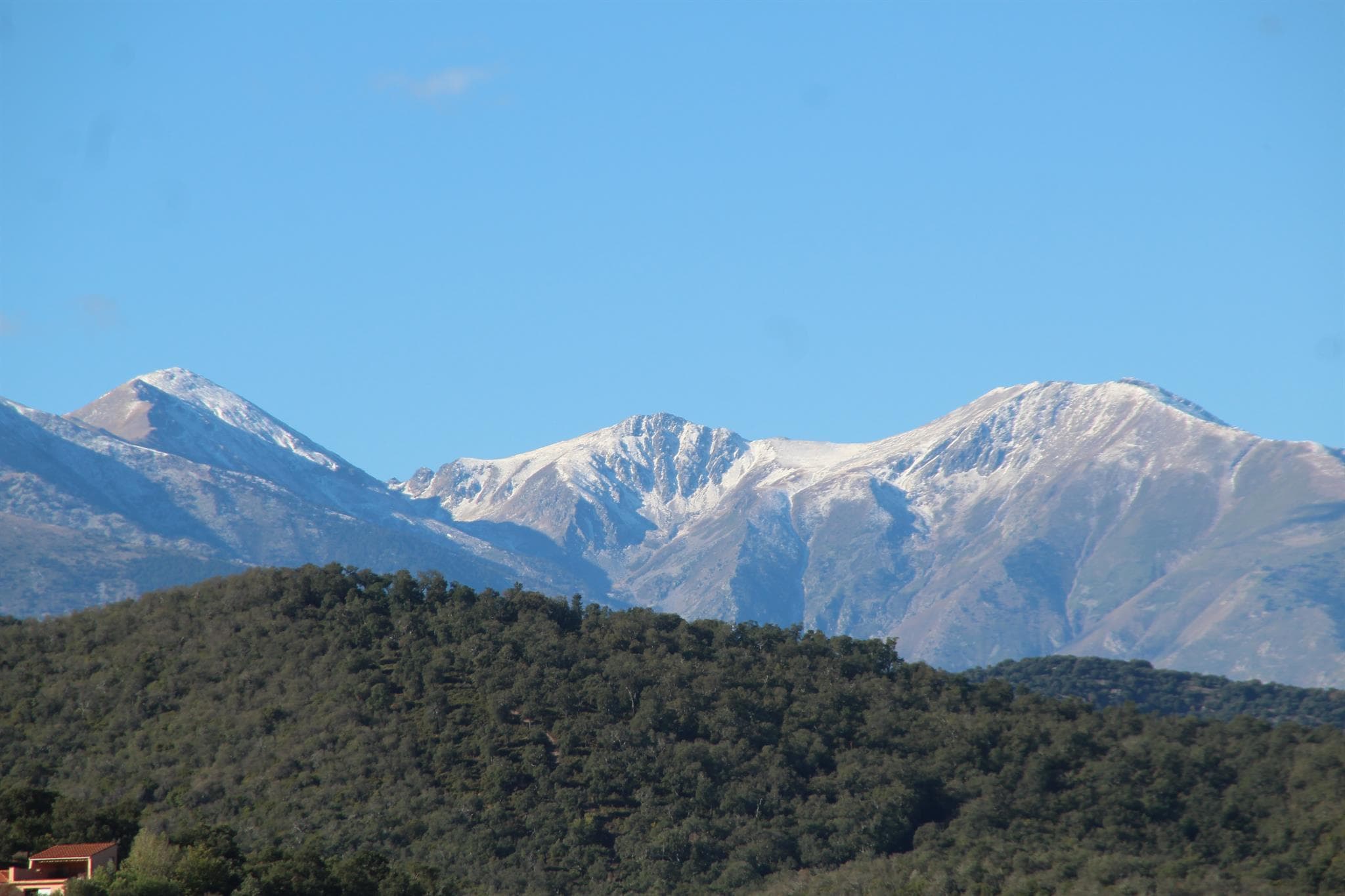 Pic du Canigou vu de Llauro_22