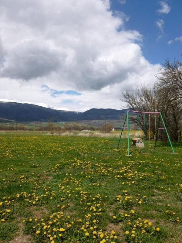 Photo_3_7