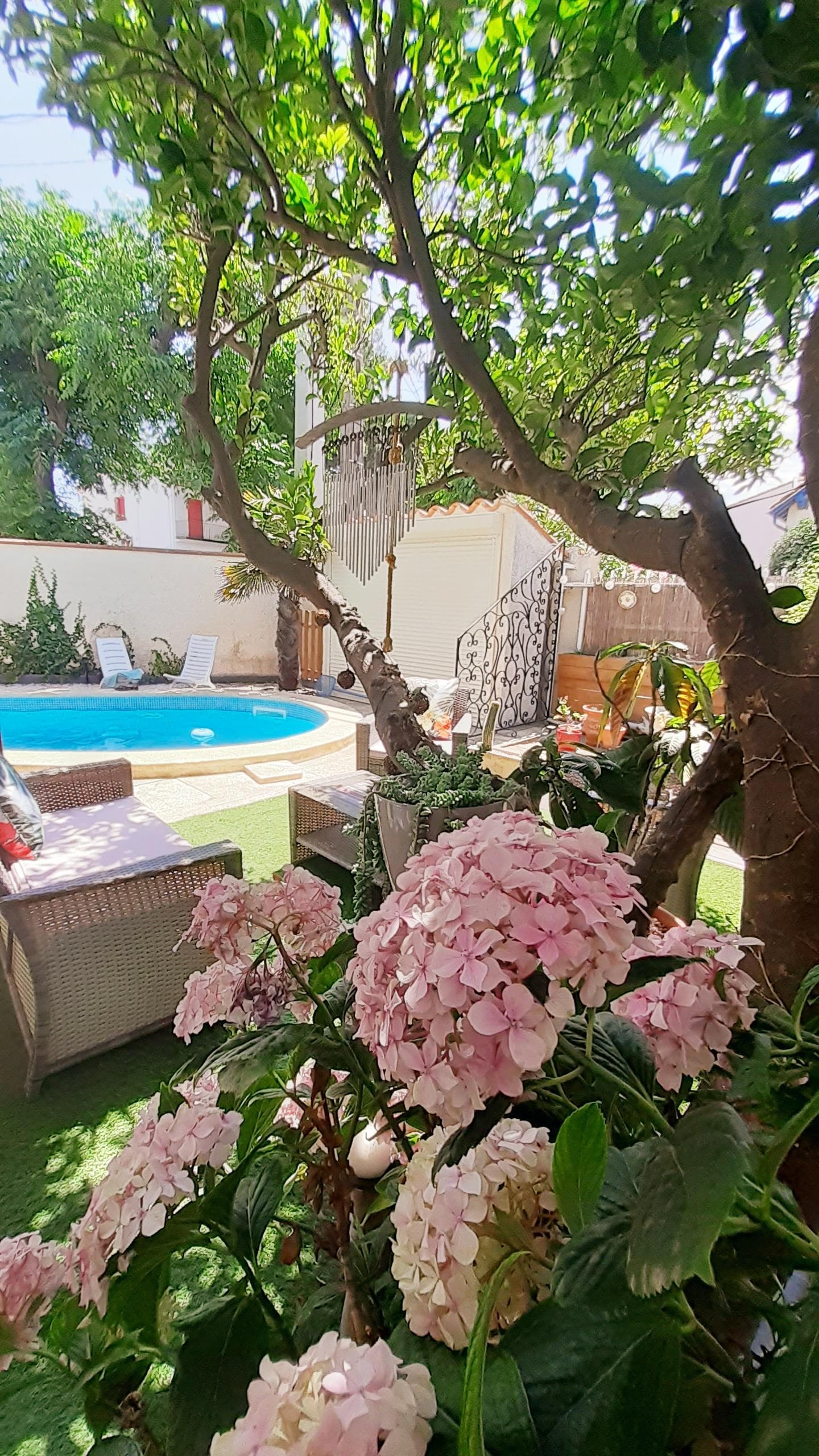 piscinefleurs_G66200802_3