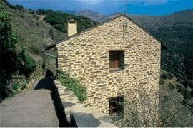Photo_1_1