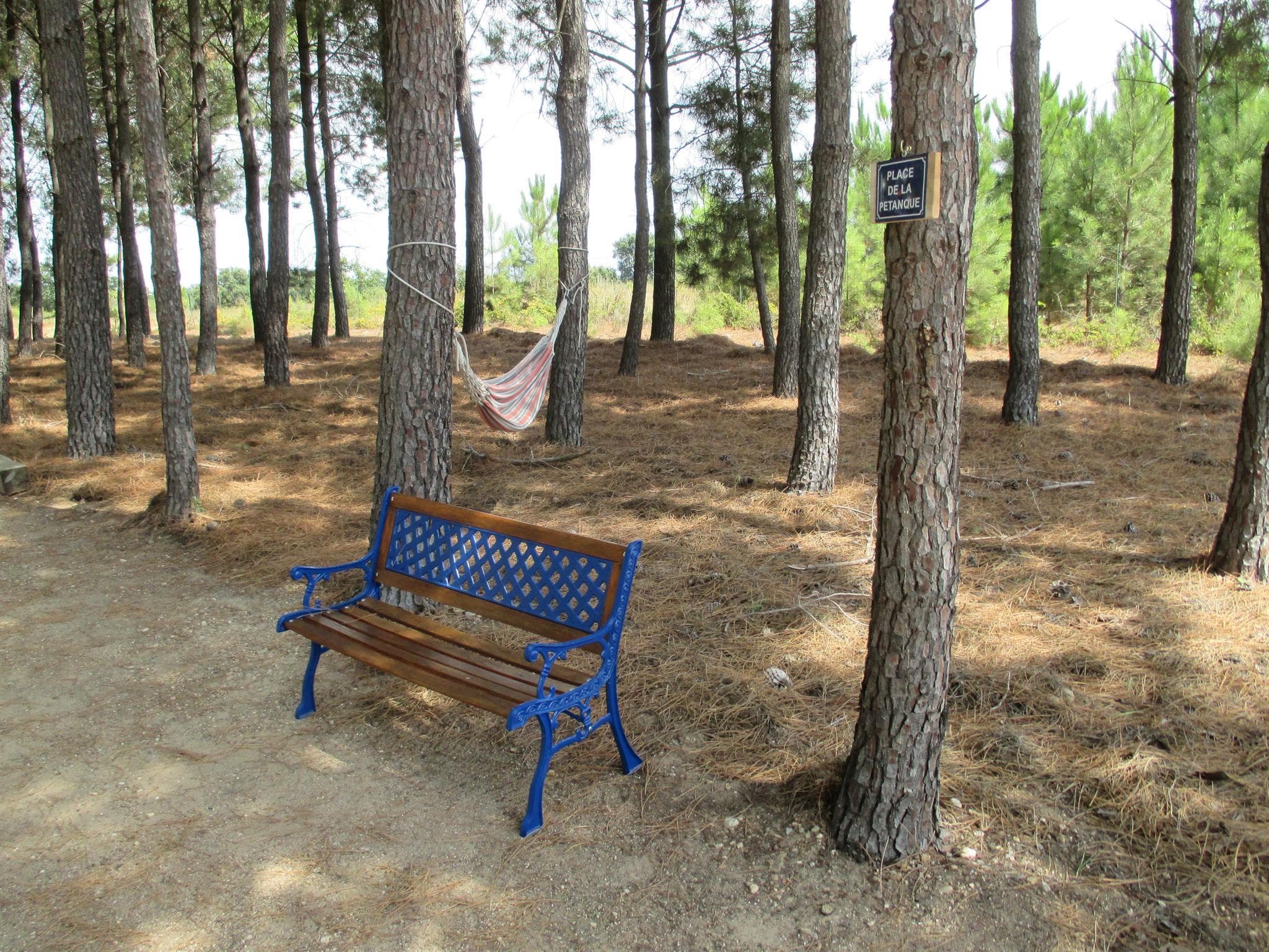 Place de la pétanque_9