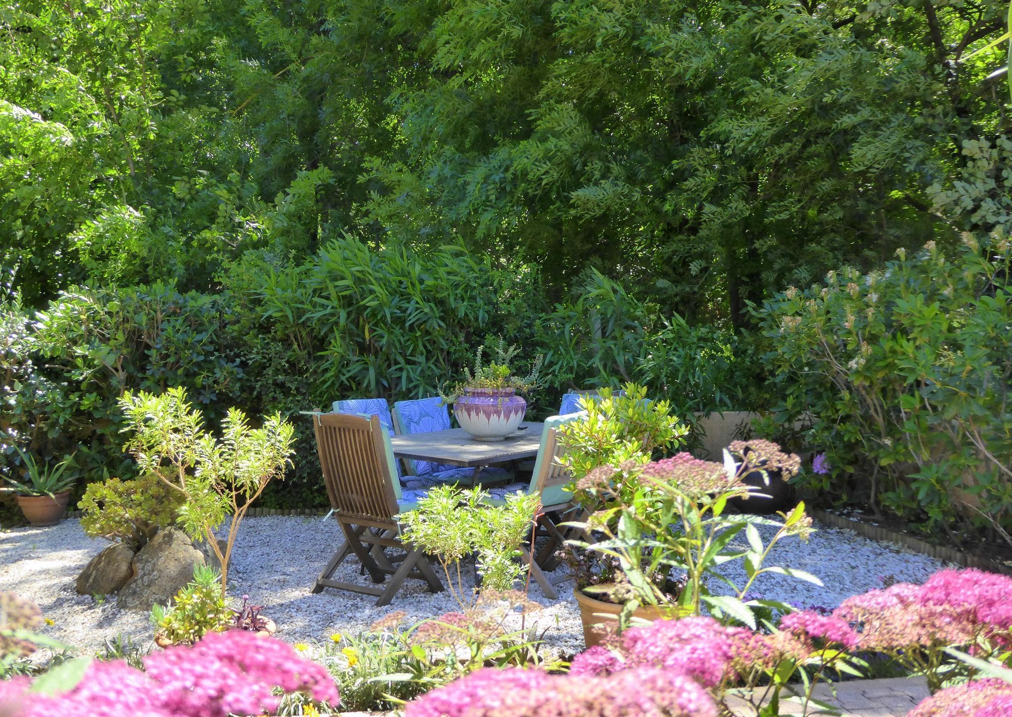 Coin intime dans le jardin orienté sud-ouest_5