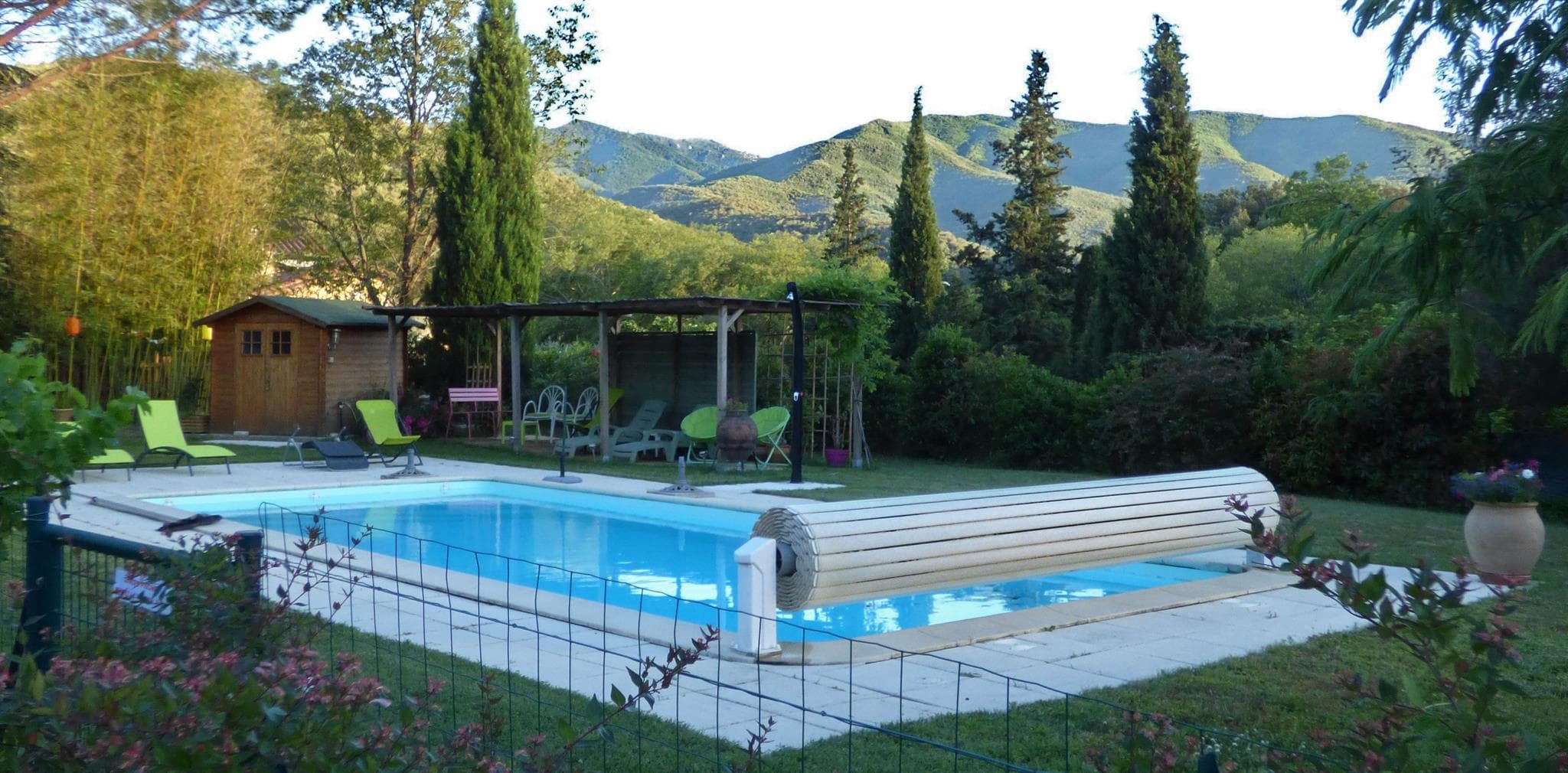 Palmère Piscine partagée_15