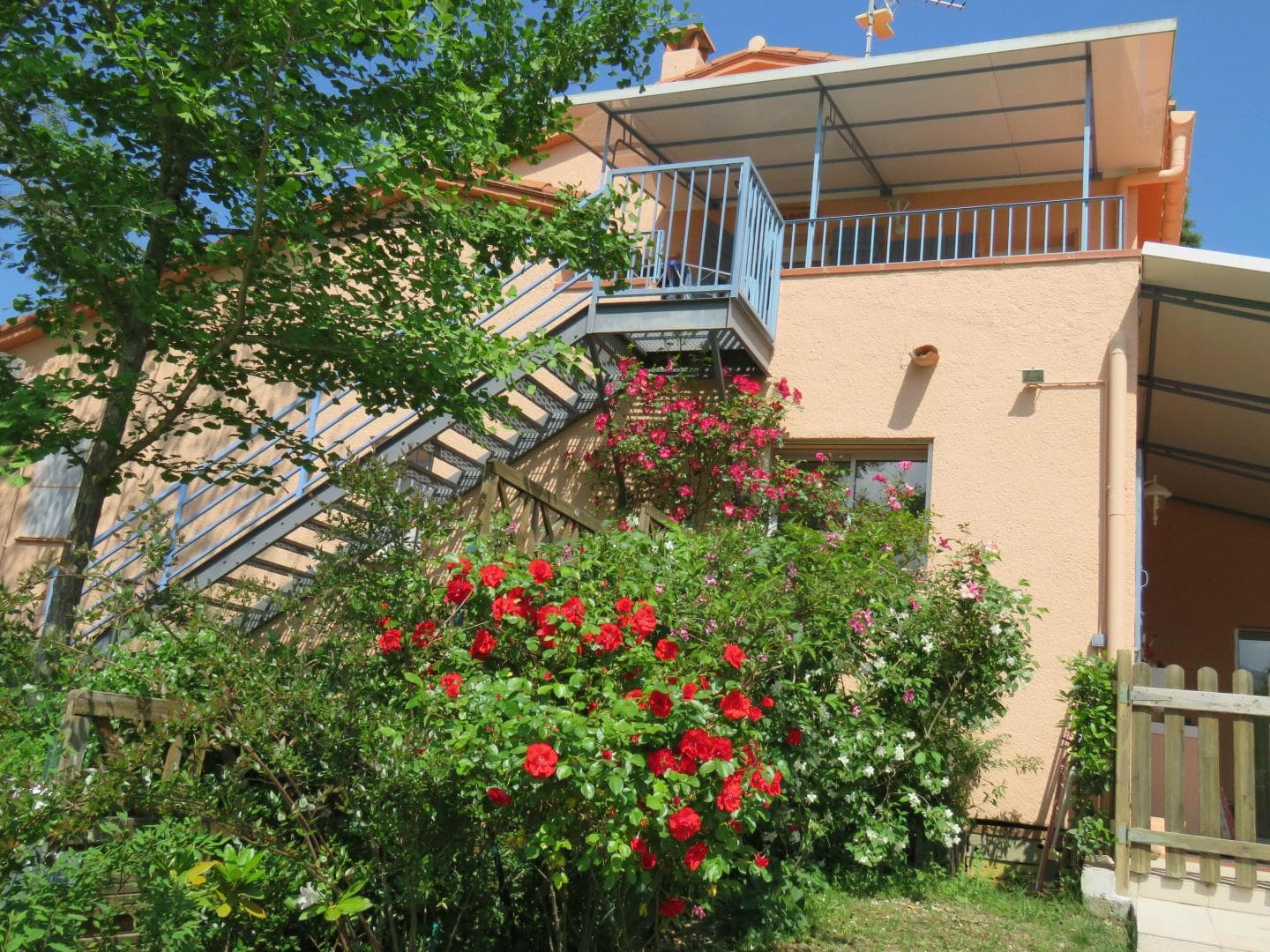 La Palmère depuis la piscine_11
