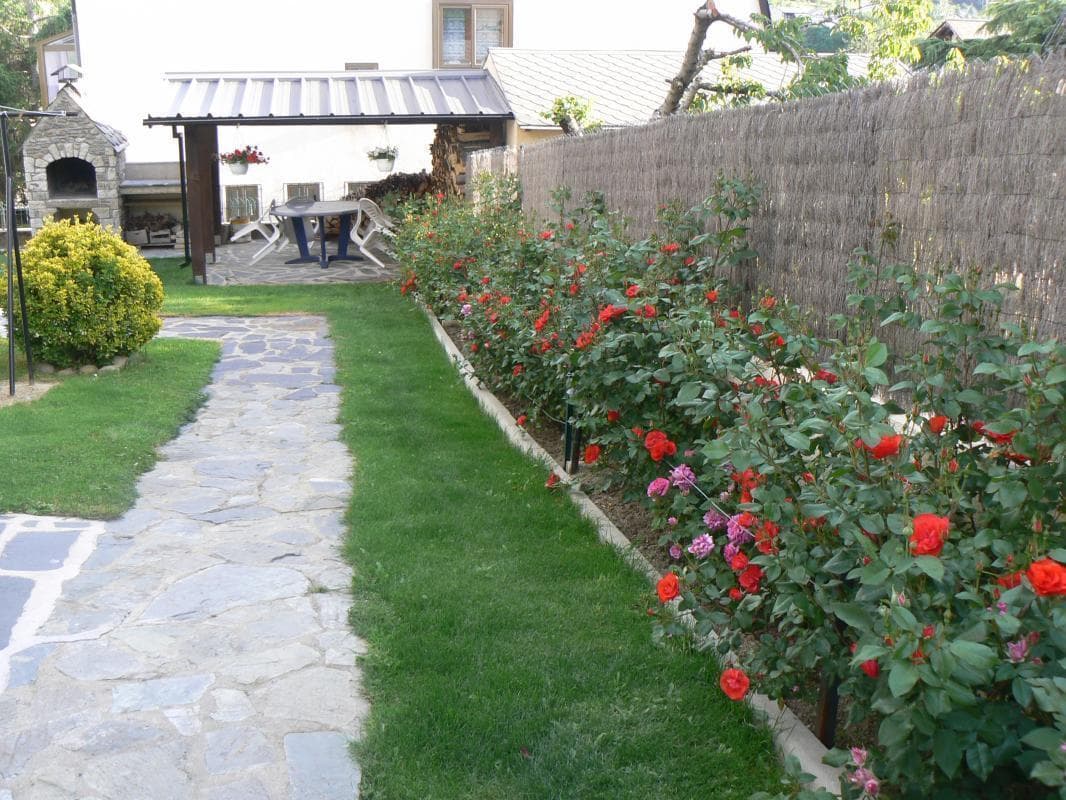 Photo_2_6