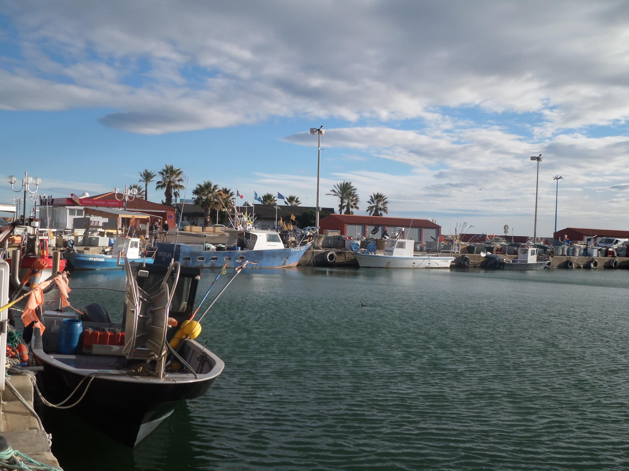 St Cyprien Port de p^che_35