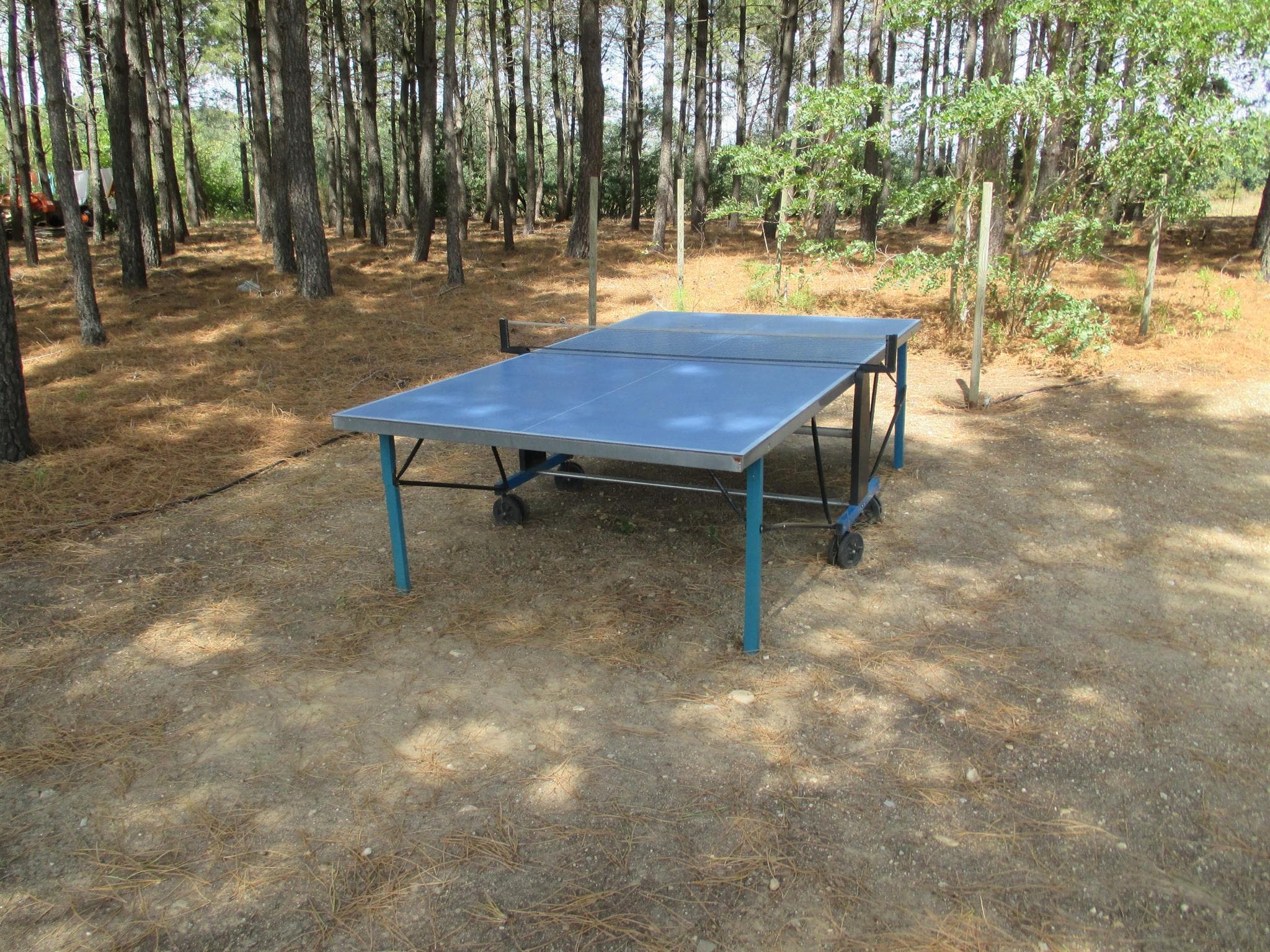 Et là c'est le ping-pong_10