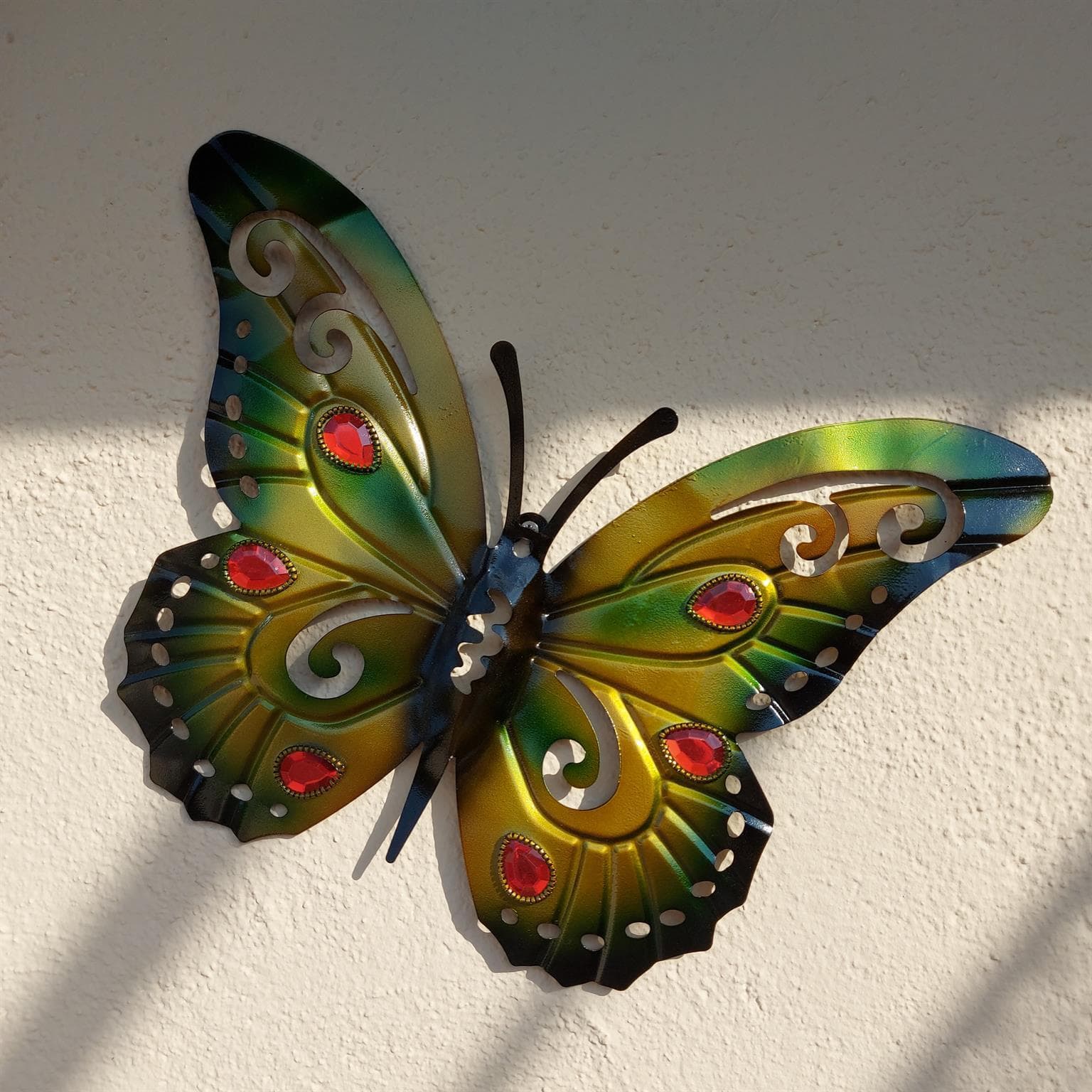 papillon vert