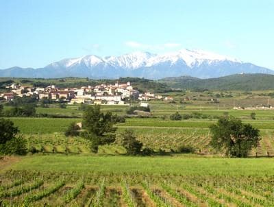 Photo_4_8