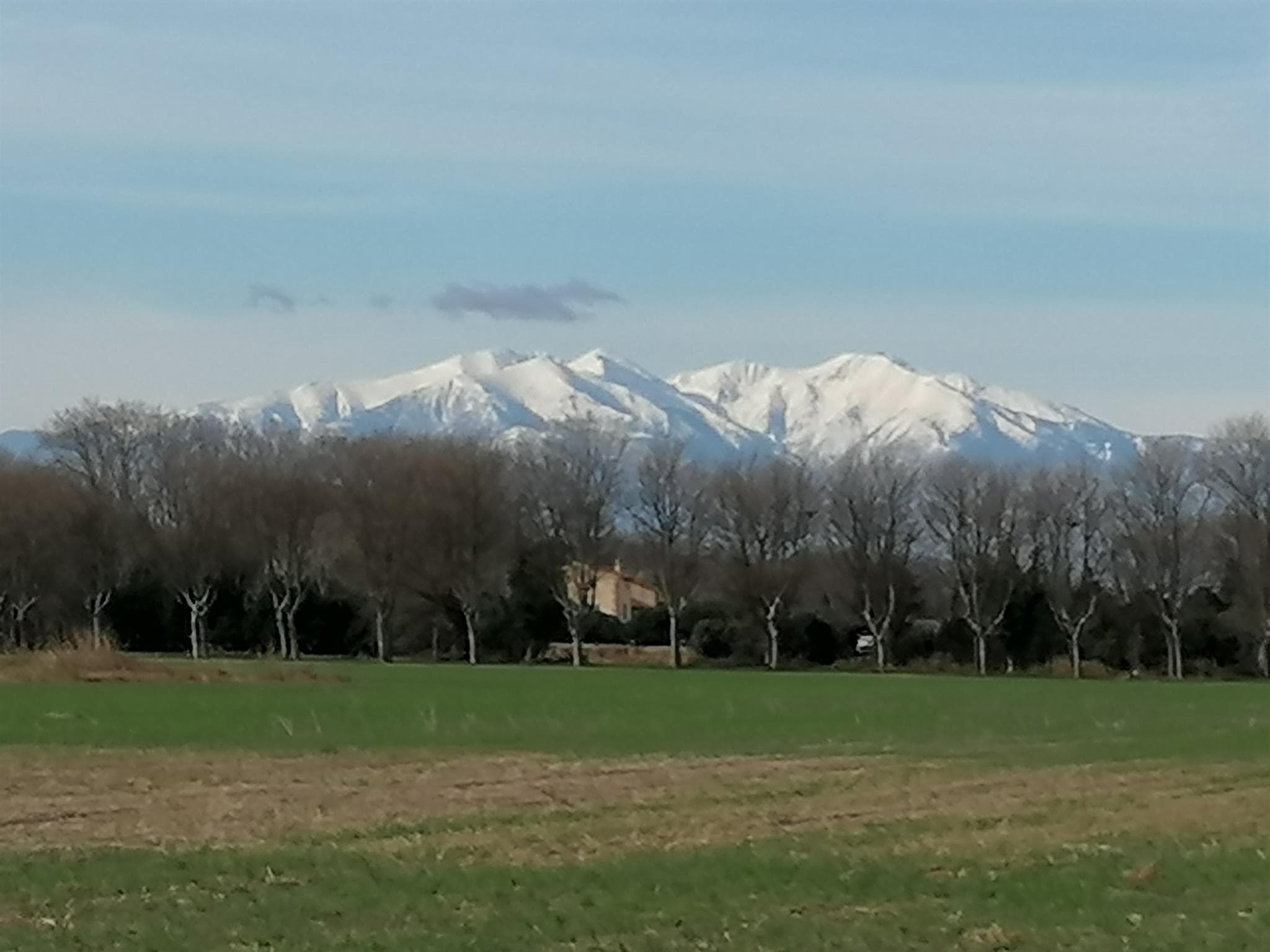HIVER 2021 LE CANIGOU VU DU MAS_23
