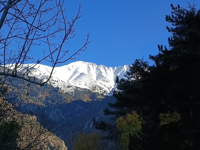 Le Canigó