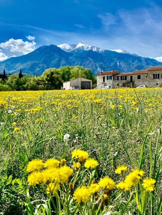 Gîte avec le Canigó en fond