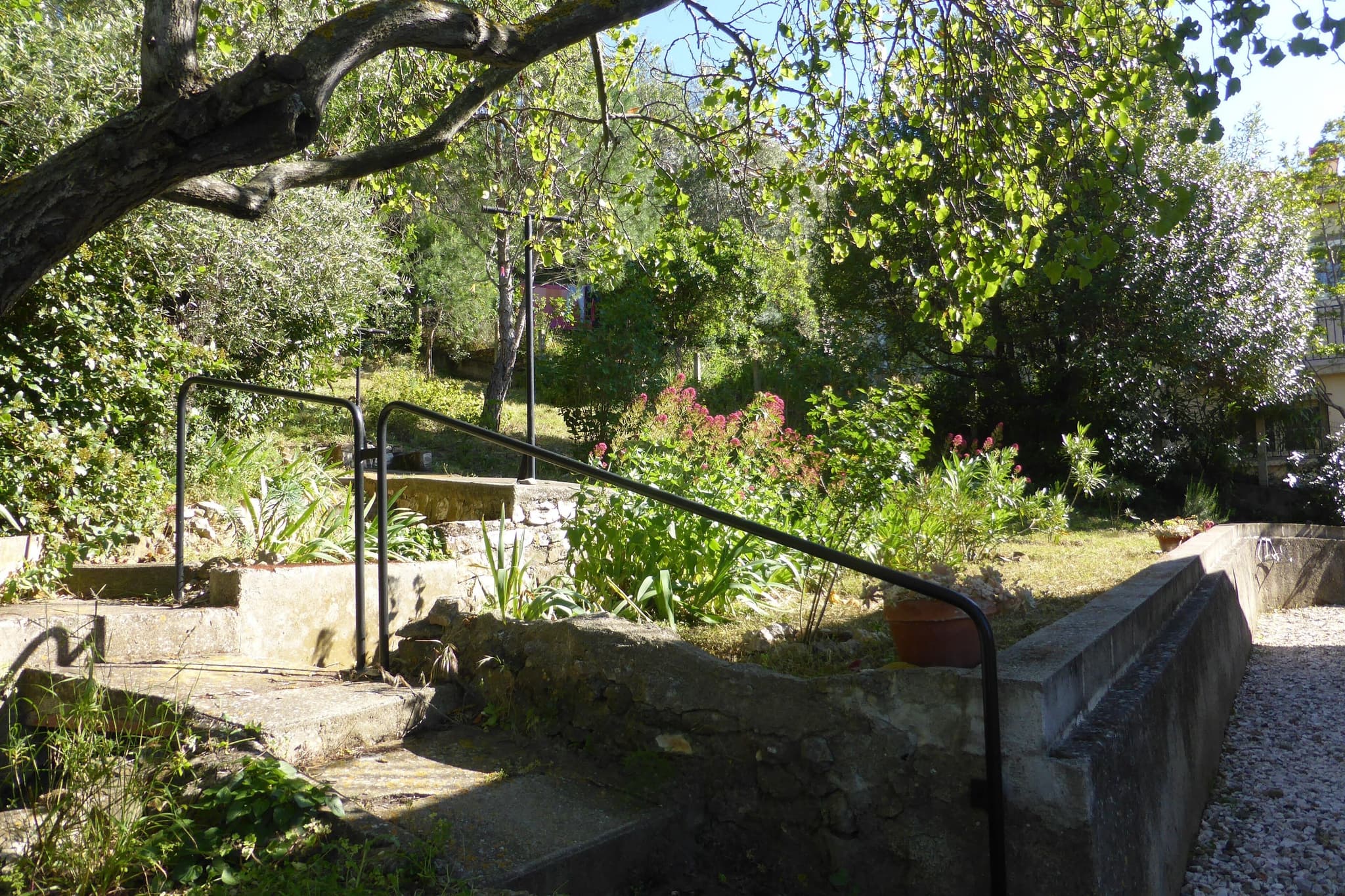 jardin garrigue