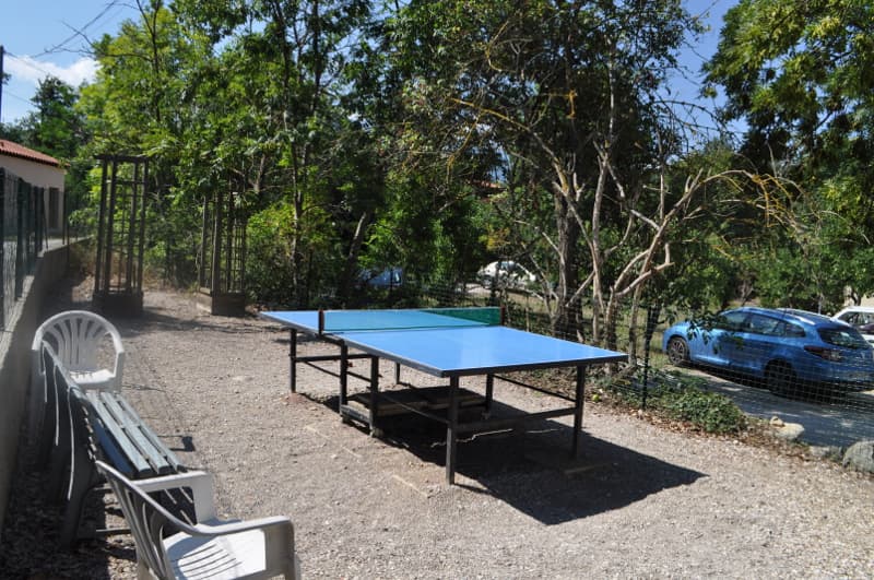 ping pong