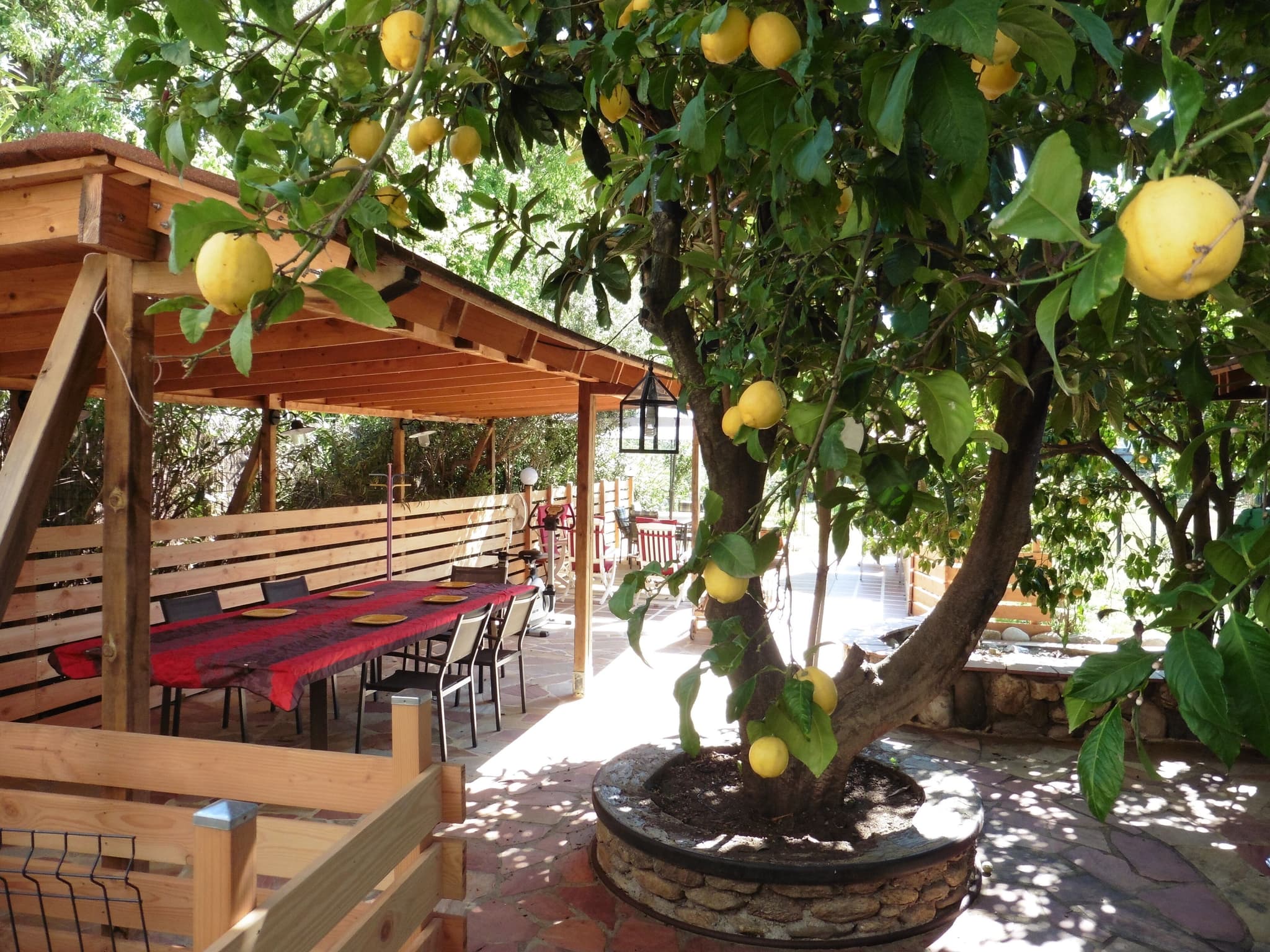 terrasse 3