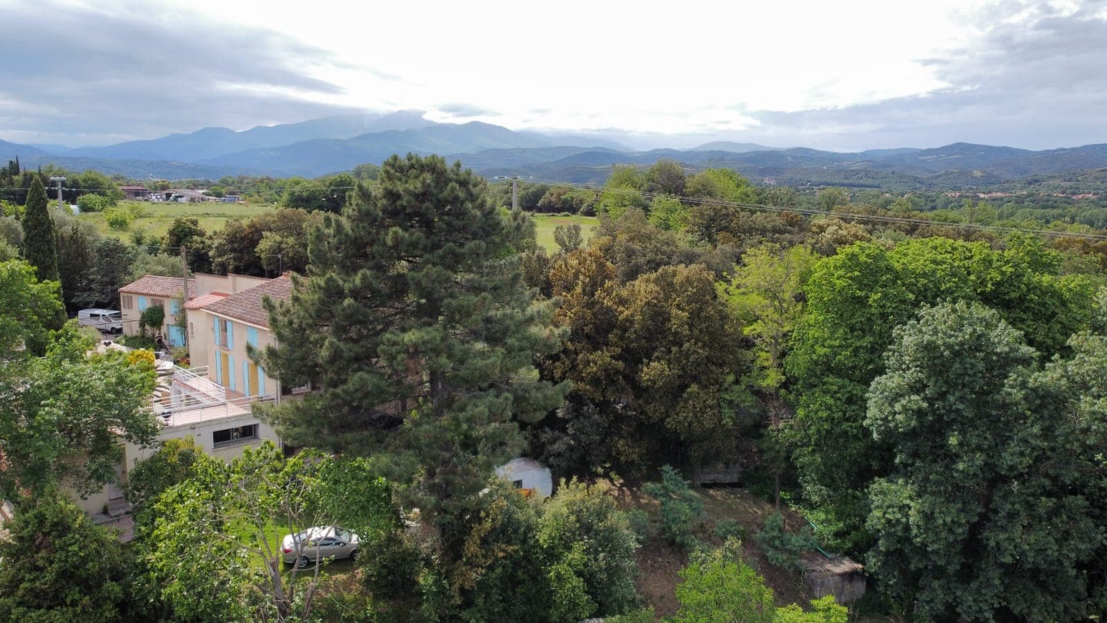 vue salamandre