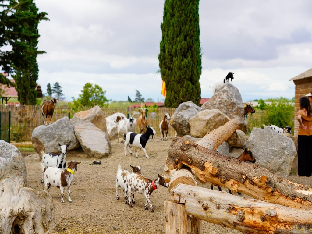 PORT BARCARES FERME