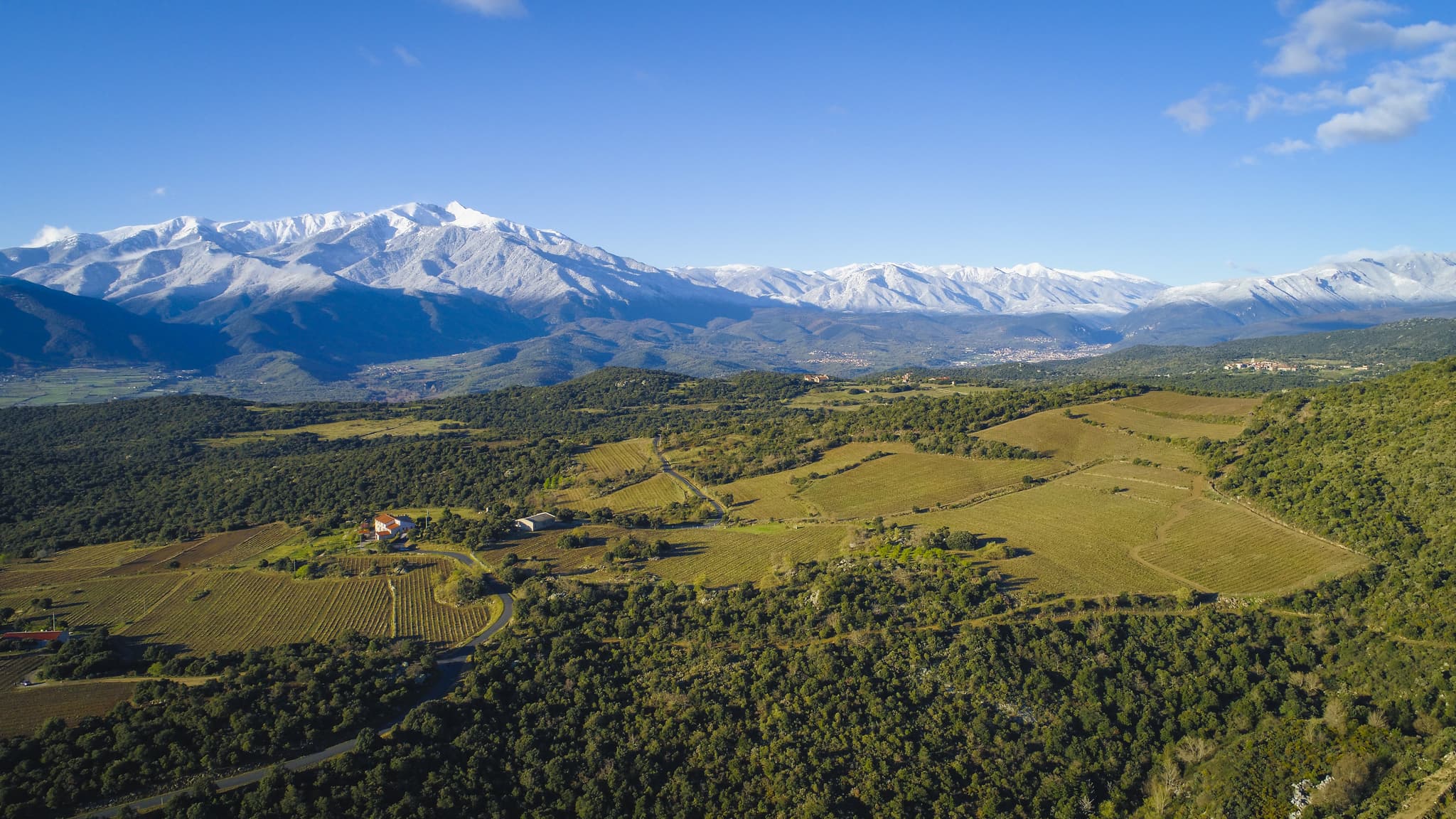 Mas Llossanes