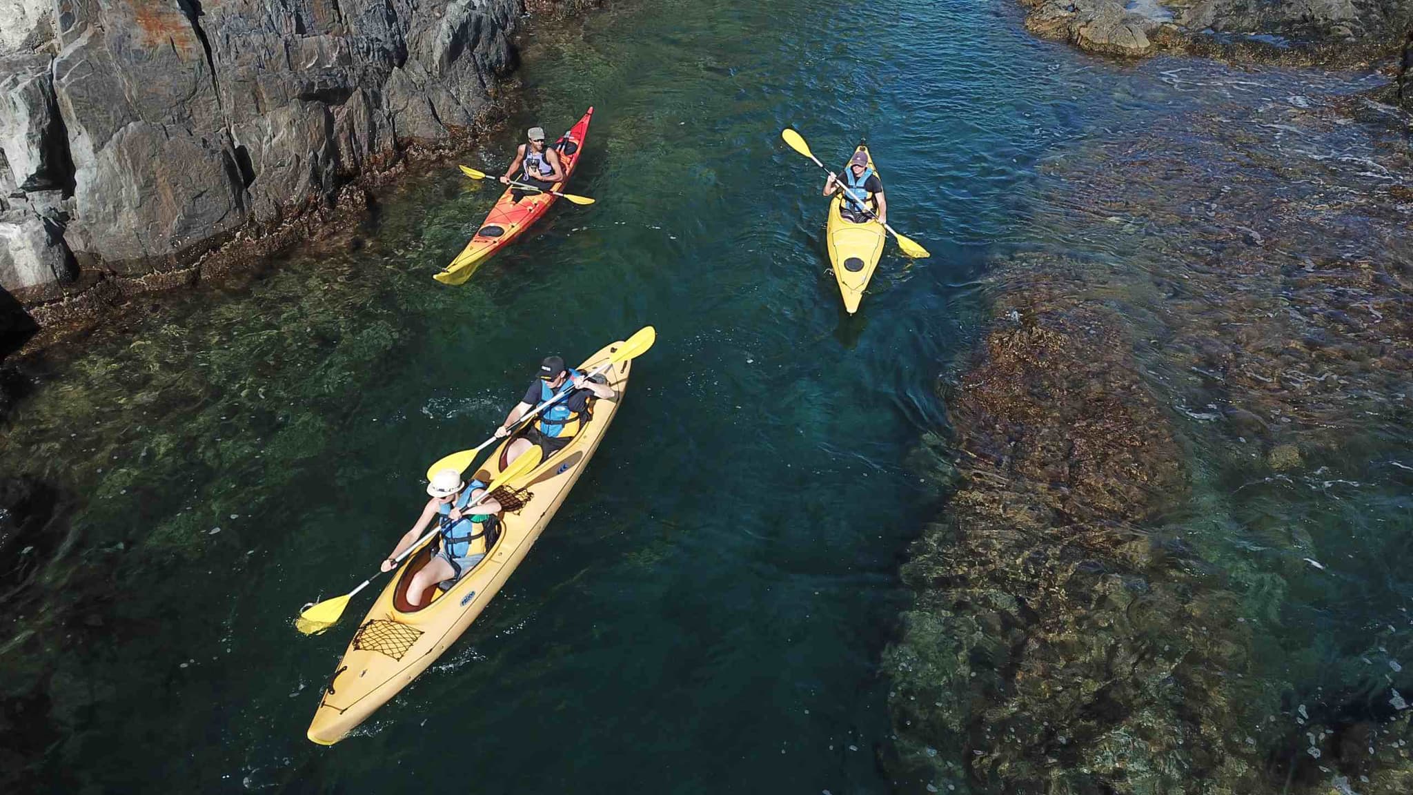 Watersport-collioure