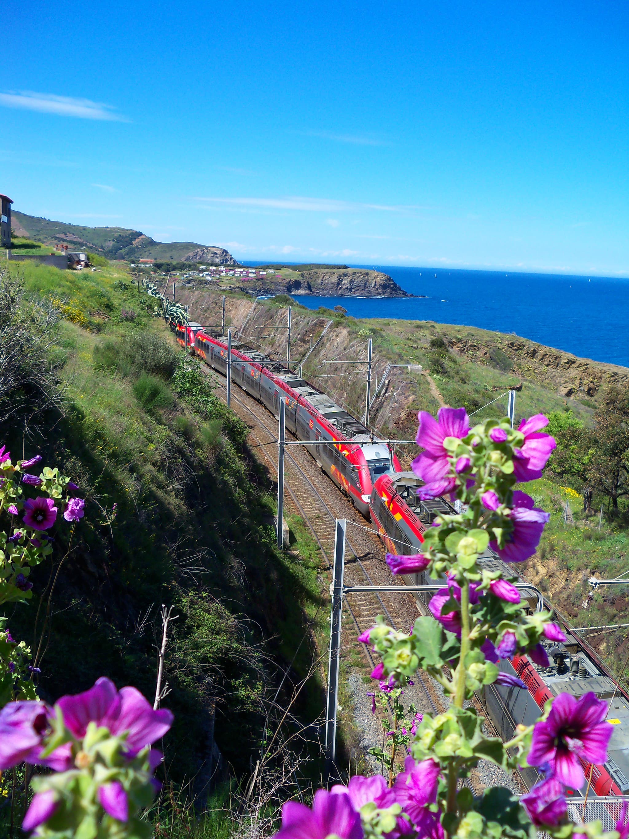 train