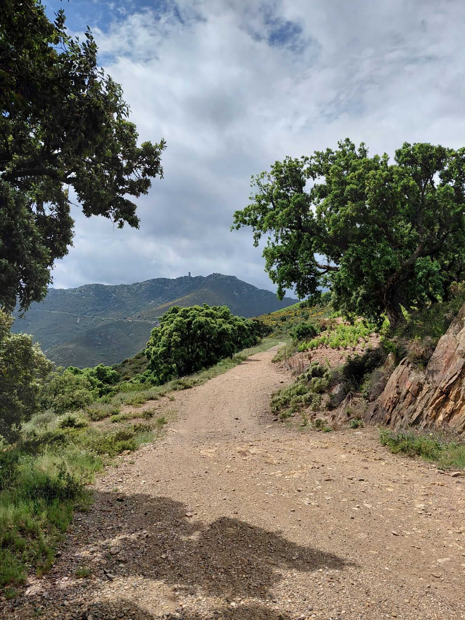 13-oenotourisme-VTT-electrique-collioure