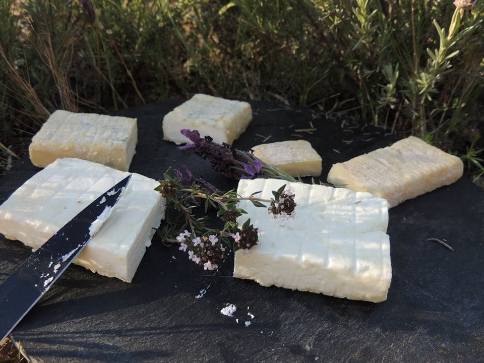 Présentation de fromages de chèvre