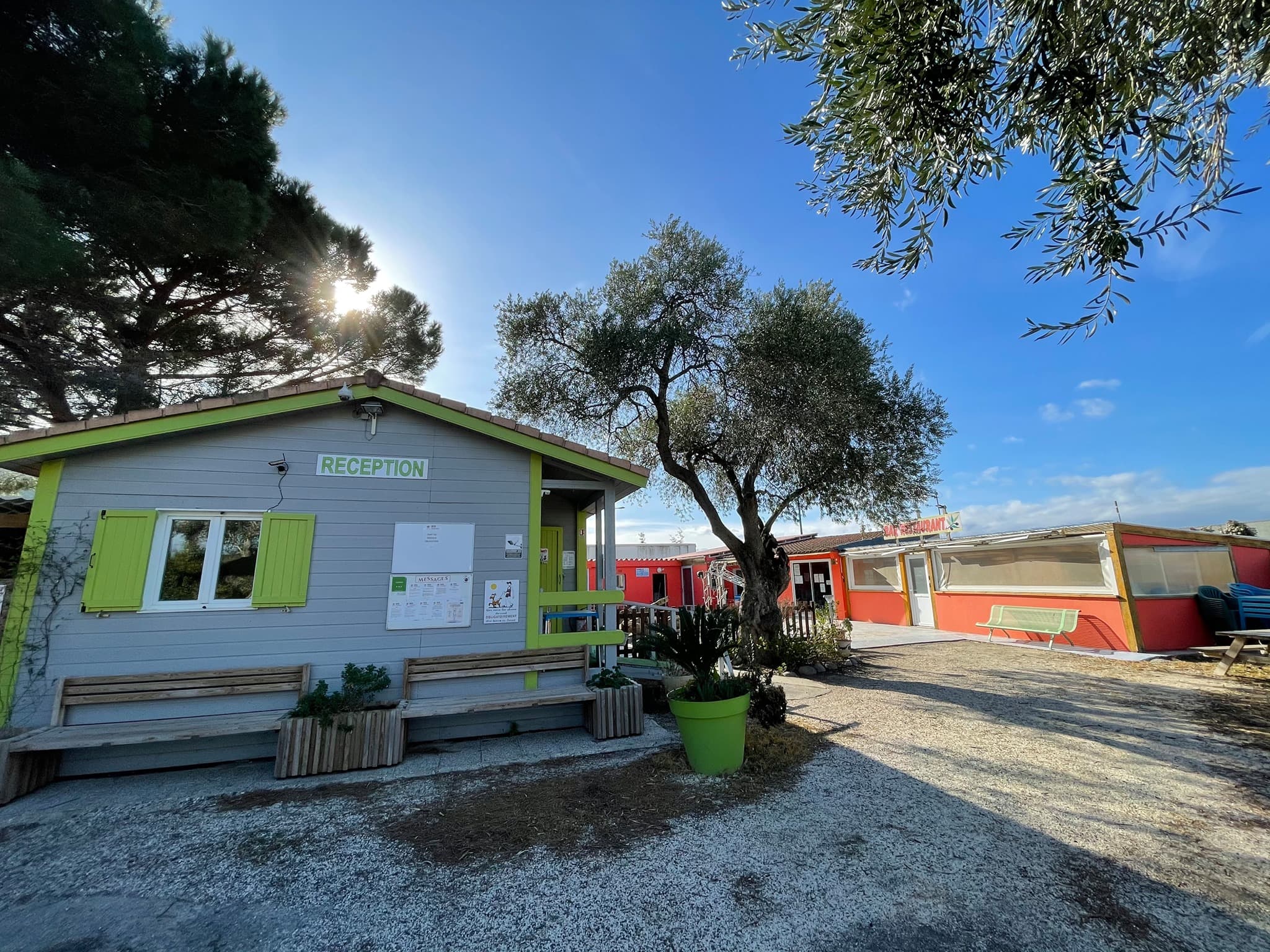 CAMPING LES OLIVIERS 5