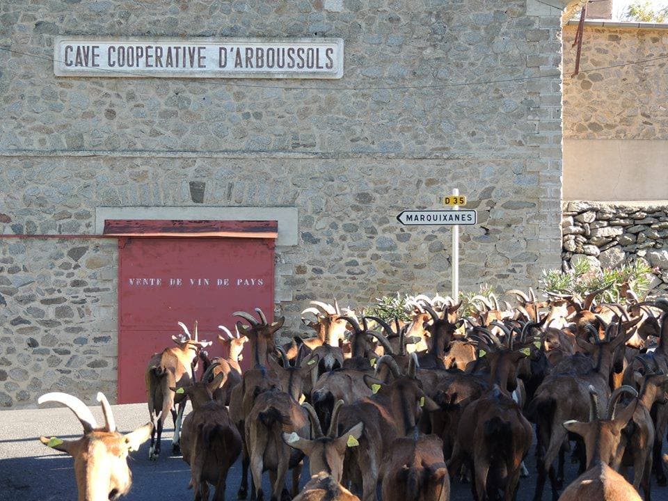 Balade à Marquixanes