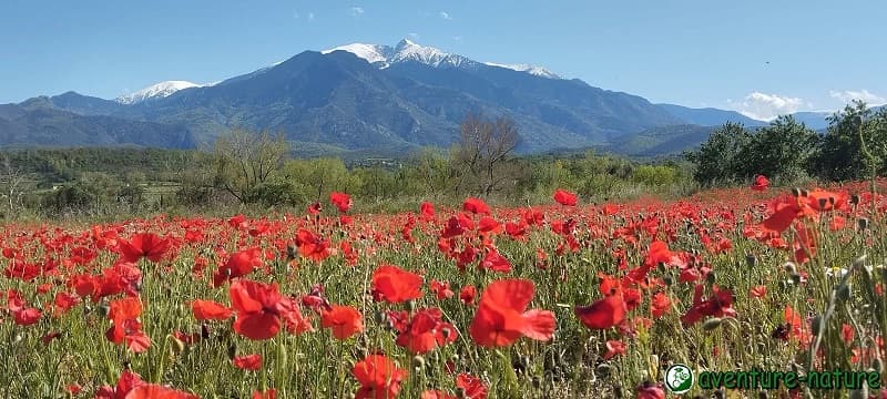 Aventure Nature