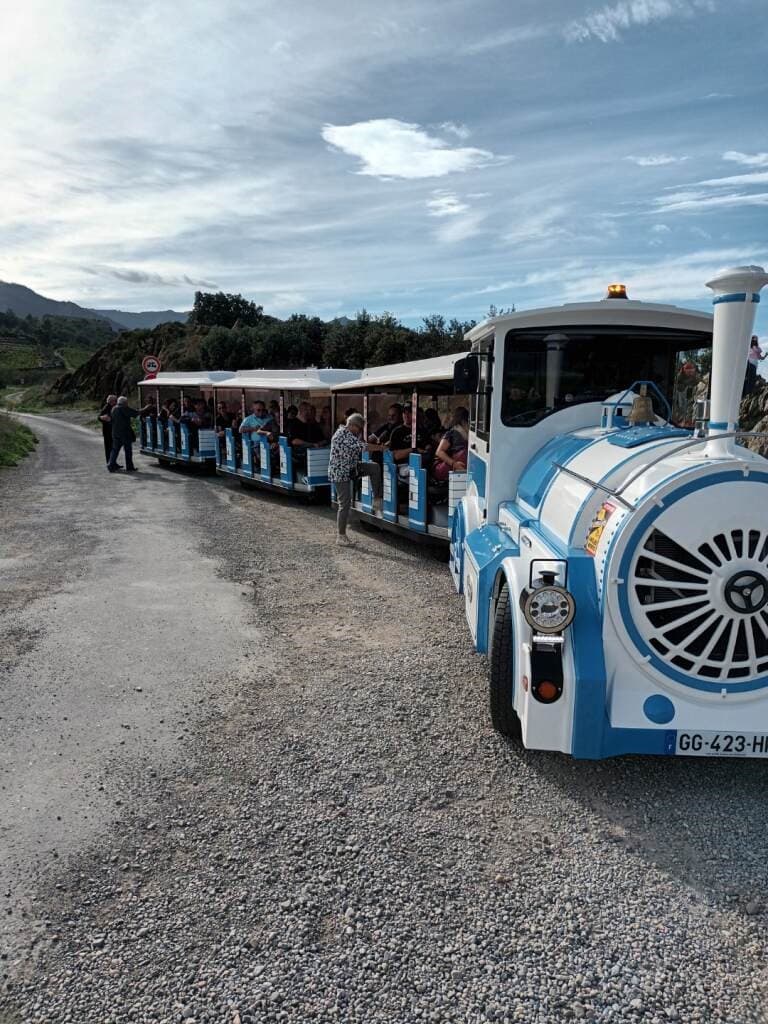 petit-train-collioure