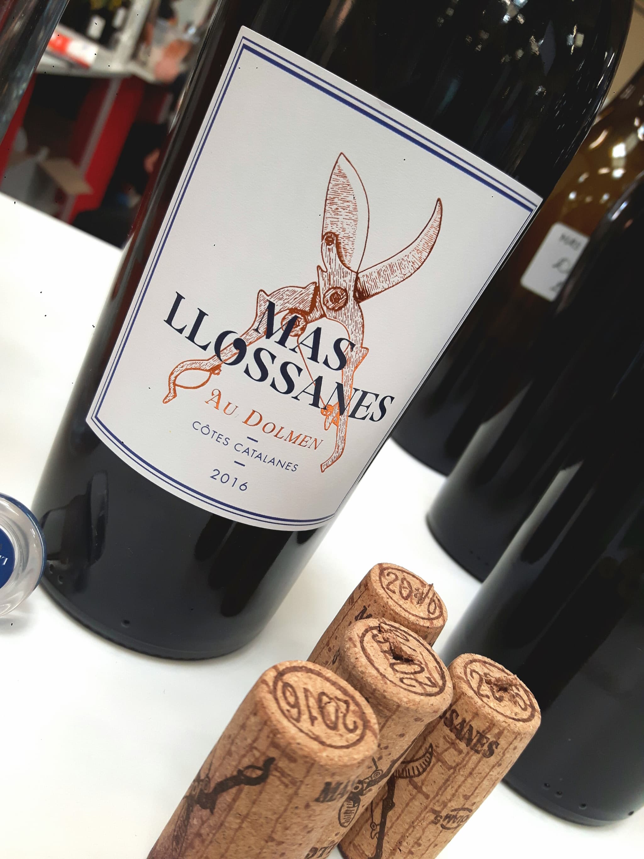 Mas Llossanes