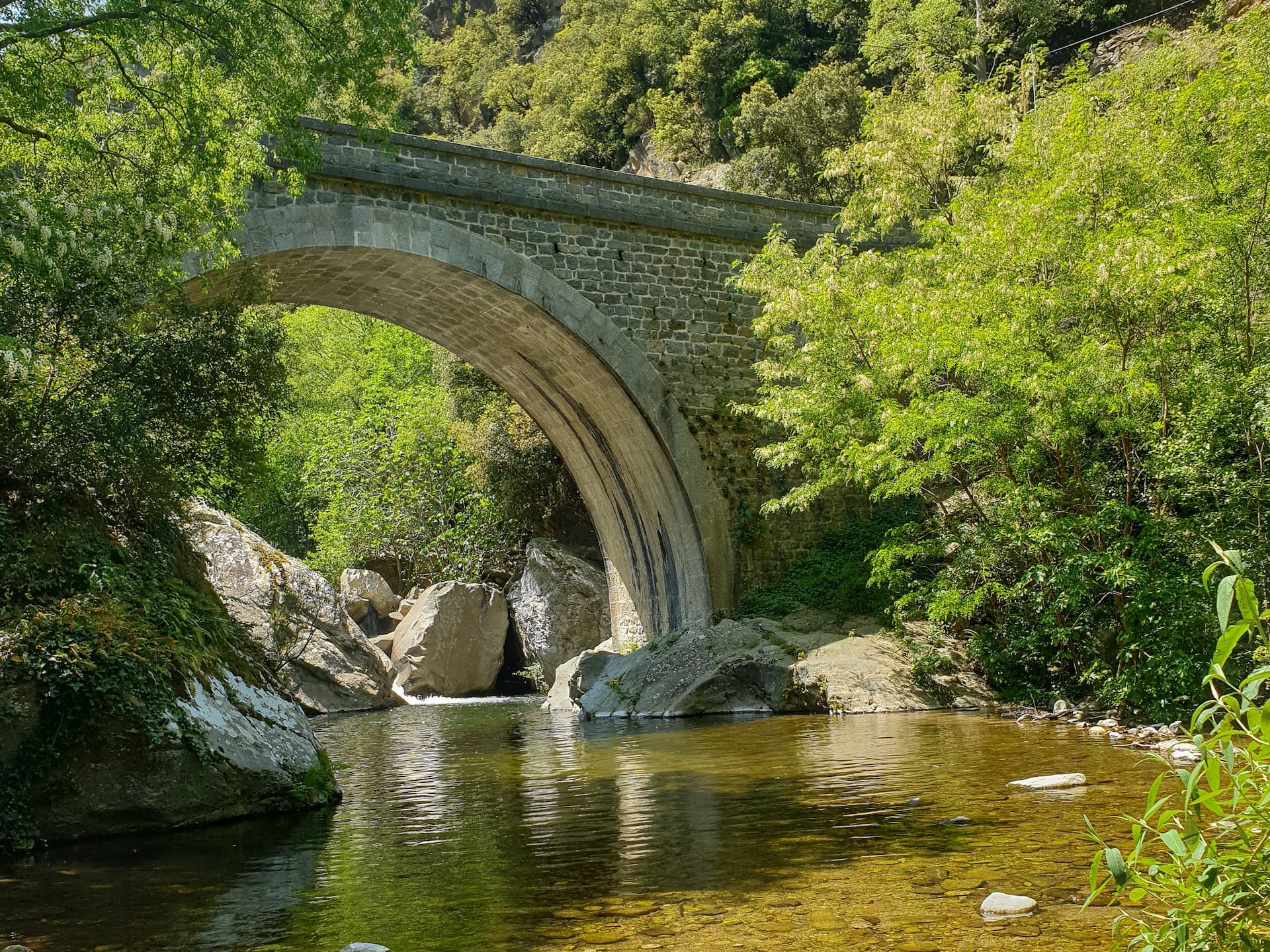 Rivière Le Mondony à Amélie-les-Bains Palalda