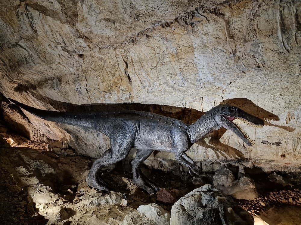 COVA BASTERA - DINOPEDIA EXPERIENCE