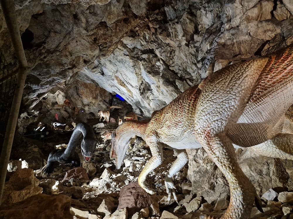 COVA BASTERA - DINOPEDIA EXPERIENCE